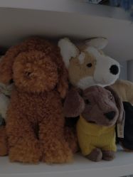 -jELLYCAT(华熙店)