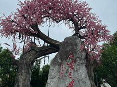 -昌州古城