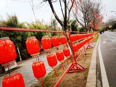 -武汉园博园(武汉自然博物馆)
