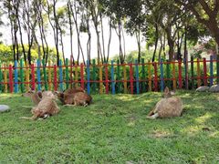 -广东花都香草世界旅游度假区