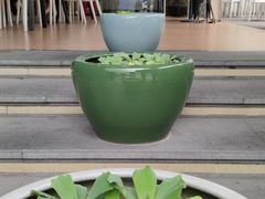 -813芭依珊 BAESAn(皇冠十畝地店)