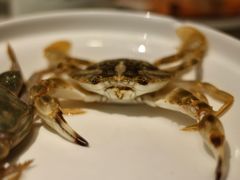 -潮人姐妹轩(海宁路店)