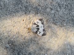 -海南热带雨林国家公园吊罗山景区