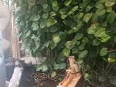 -德全心悦酒店(北京金台路地铁站店)