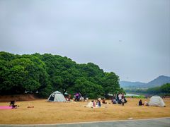 -风云岭森林公园