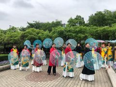 -嘉定紫藤园