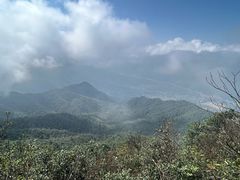 -江西阳明山国家森林公园