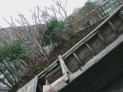 -琼菜坊·无鸡不成宴·海南菜老爸茶糟粕醋(海口骑楼老街店)