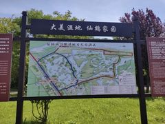 -盐城丹顶鹤湿地生态旅游区