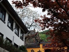 -杭州半山国家森林公园