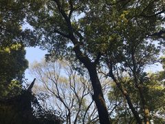 -印象普陀