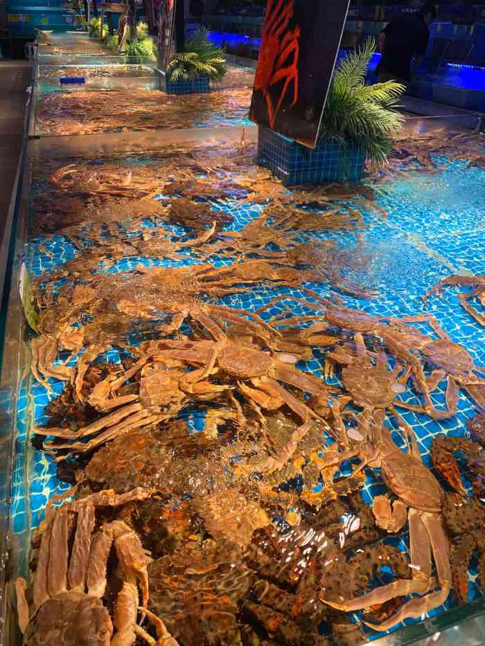 驻海渔市-"酒店楼下的海鲜餐厅,原本以为不过如此,没.
