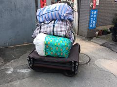 -蚂蚁搬家成都打包搬运公司