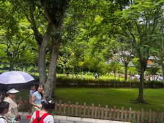 -野象谷景区