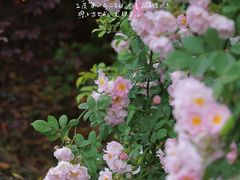 -金沙遗址博物馆