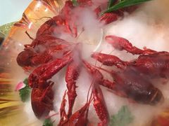 -蝶园·装修中(BFC外滩金融中心店)