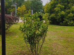 -仙海旅游度假区