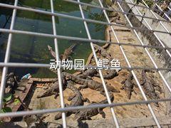 -观澜山水田园