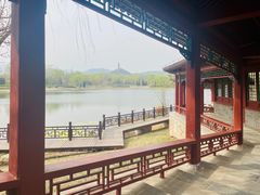 -北坞公园