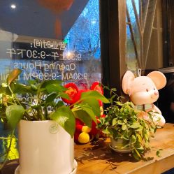 -海茱雅科技健康美容