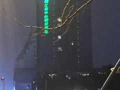 -都江堰中心国际酒店