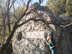 -阳台山自然风景区