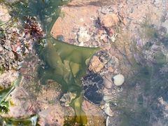 -青岛第三海水浴场