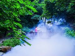 -北京西山国家森林公园