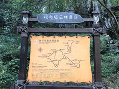 -梭布垭石林景区