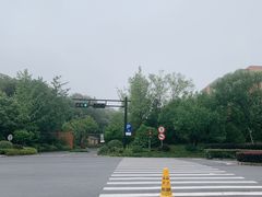 -星巴克臻选(杭州良渚文化村店)