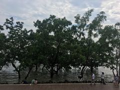 -宝安西湾红树林湿地公园