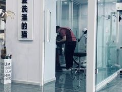 -爱洗澡的猫(望京店)