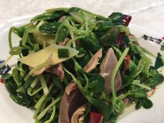 豆苗拌鸡胗-启东海鲜人家(古美路店)