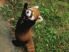 -合肥野生动物园