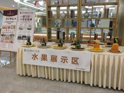 -宝生月子中心·独栋独院式(南山店)