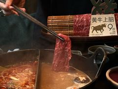 -大龙燚·旷野鲜火锅(广州首店)