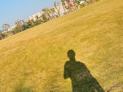 -白石龙音乐公园