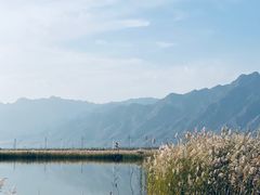 -哈素海