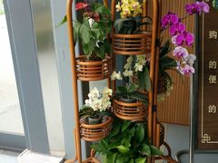 -南通洲际绿博园