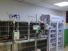 -皖宠联盟宠爱优家宠物医院(中兴西湖店)