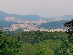 -火炉山森林公园