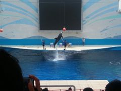 -北戴河圣蓝海洋公园