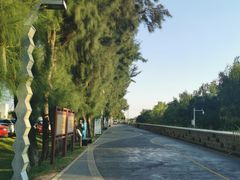 -宝安西湾红树林湿地公园