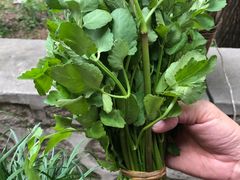 -碓臼峪自然风景区