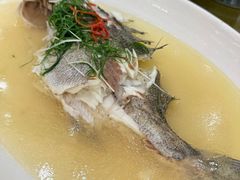 -聚彩居三和酒楼•老字号粤菜(南城店)