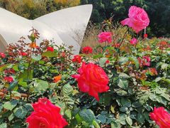 -人民公园(罗湖区)