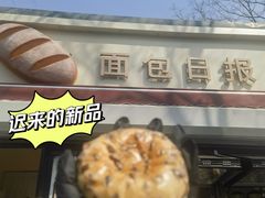 -面包日报