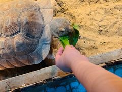 -上海大自然野生昆虫馆