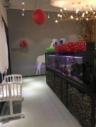 -可爱多国际儿童摄影会馆(龙泉店)
