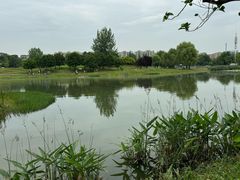 -两河城市森林公园